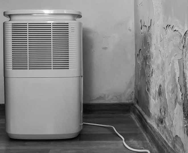 seelan at home inside