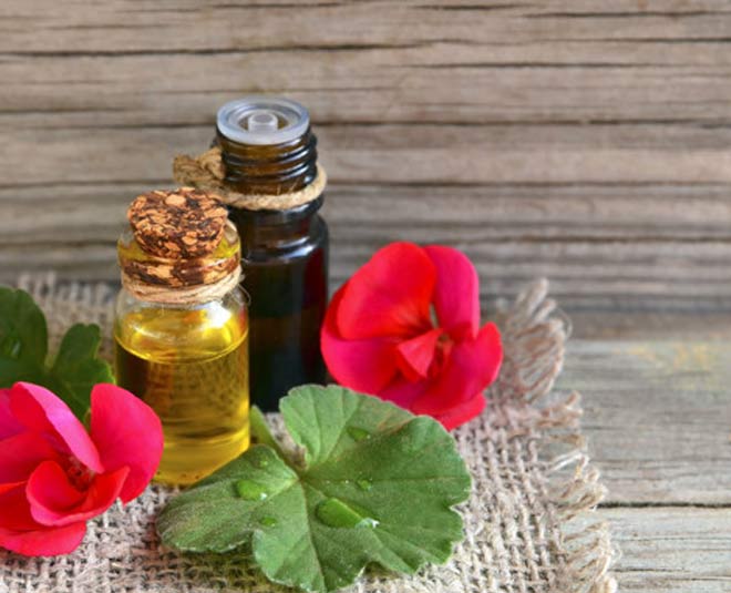गेरियम तेल Geranium oil inside