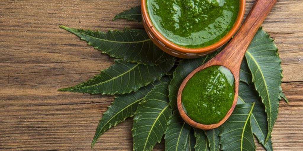 5-different-ways-neem-can-harm-you-5-different-ways-neem-can-harm-you