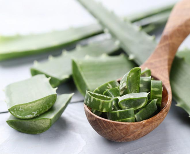 aloe vera plant for young glowing skin inside