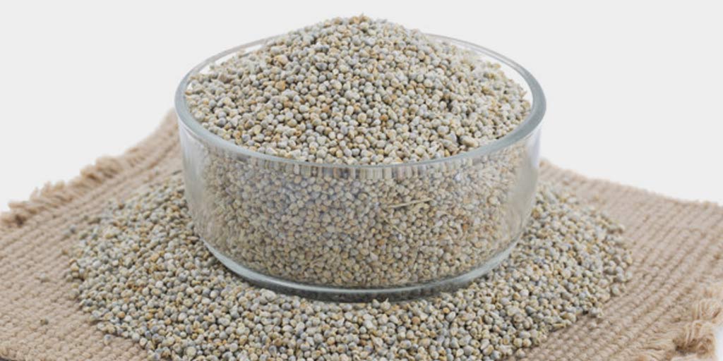 Bajra Or Pearl Millet Benefits For Health In Winter In Hindi - सर्दियों ...