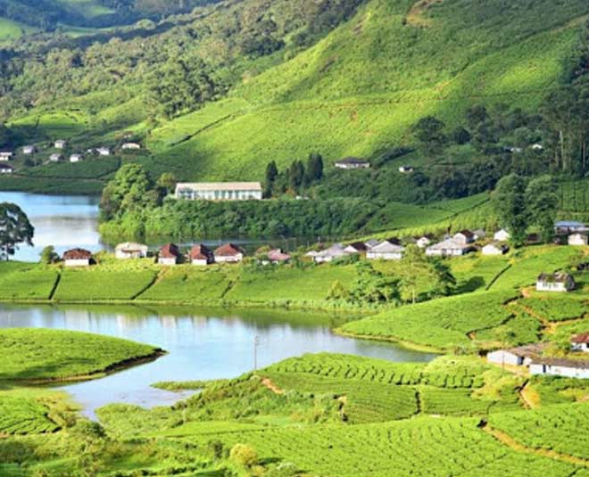 best winter honeymoon places in south india munnar inside 