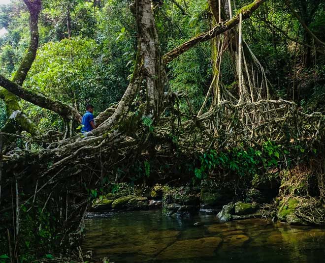 cherrapunji in winters