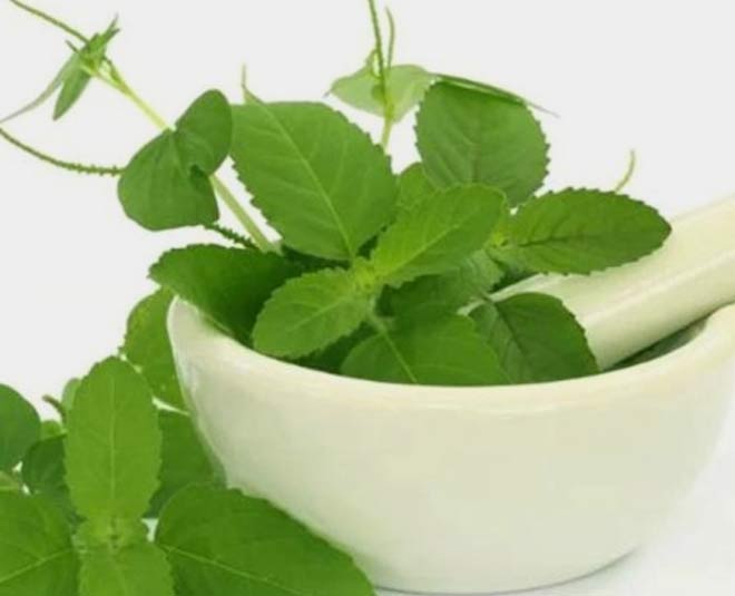 eat during winter to keep your body warm tulasi inside 