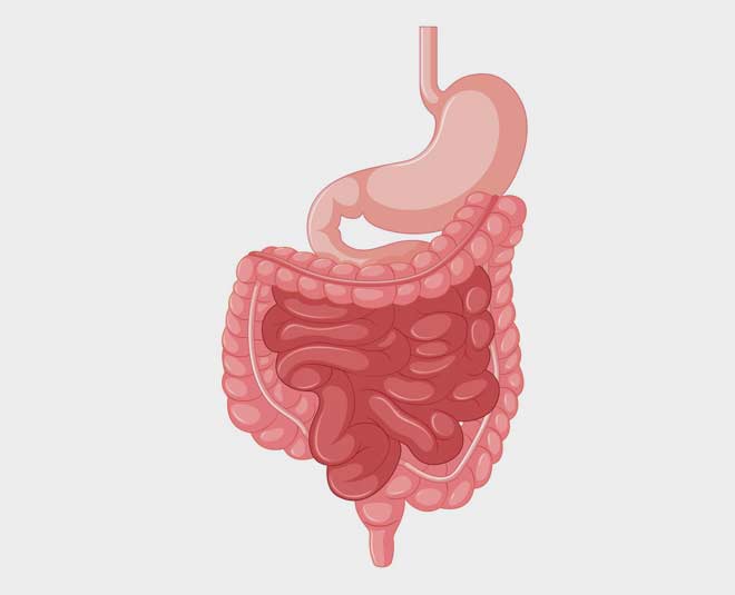 कोलोन foods for colon inside