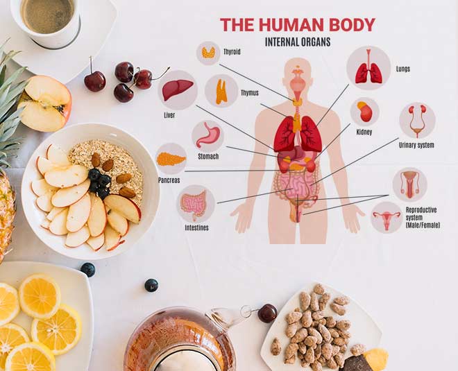 foods for different body parts main