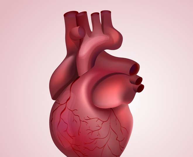 दिल foods for heart inside