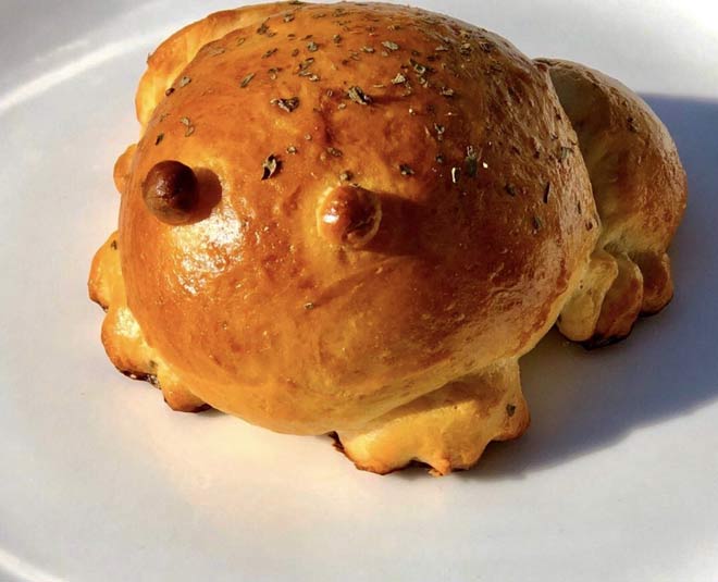 frog bread 