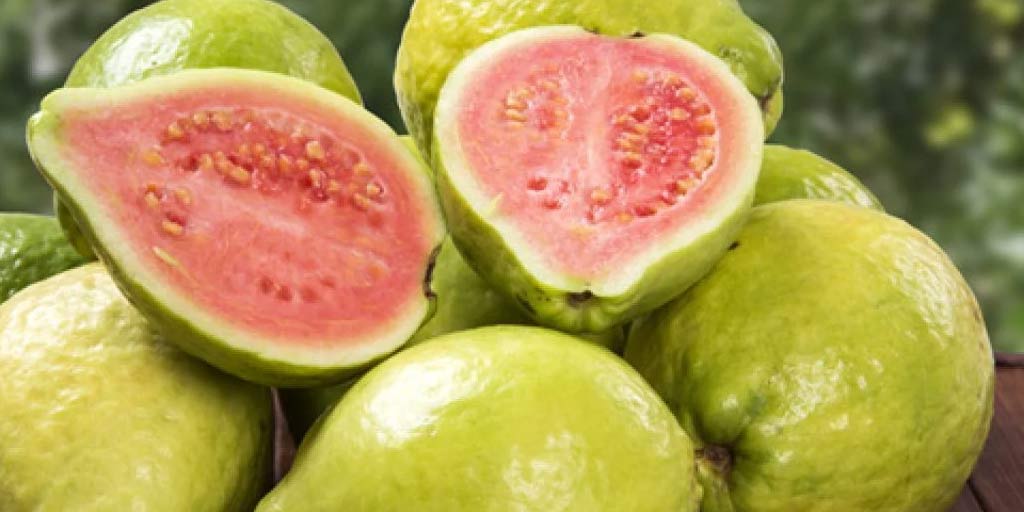 Guava Face Packs: Here's Why And How You Can Make Guava Face Masks For ...