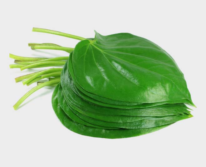 home remedies for mouth ulcer pan inside 