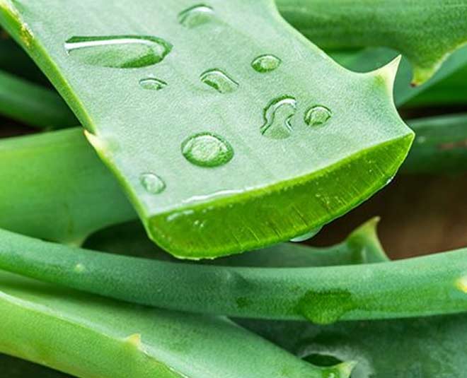 home remedies remove black spots nose wearing glasses alovera inside 