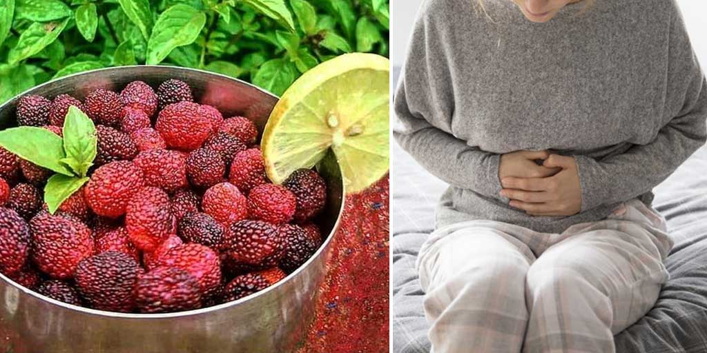 kafal-fruit-benefits-know-how-to-consume