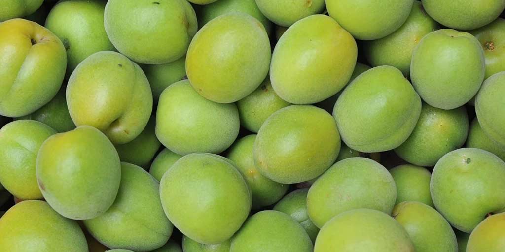 Here Are Some Remarkable Benefits Of Kakadu Plum For Your Skin HerZindagi