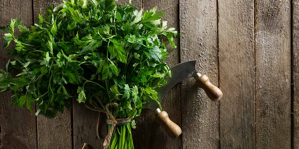 Health Benefits Of Parsley Leaves In Hindiक्या आप जानती हैं पार्सले की