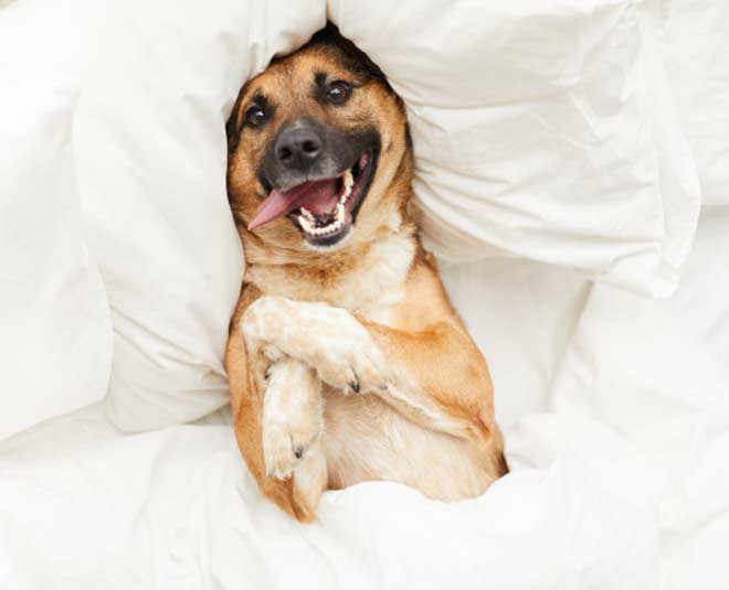 reuse old jackets and coats in different ways inside 