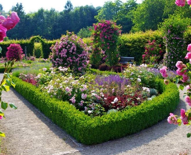 rose garden amritsar