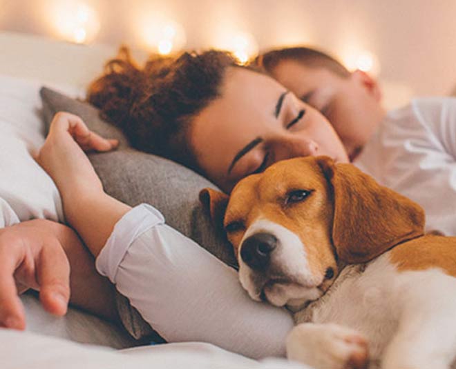 is sleeping with your dog unhealthy