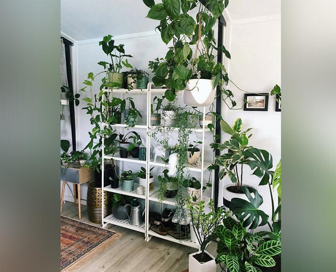 top home decor  ideas in new year inside 