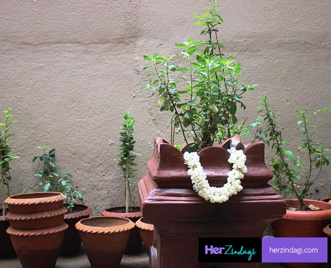 tulsi puja inside 