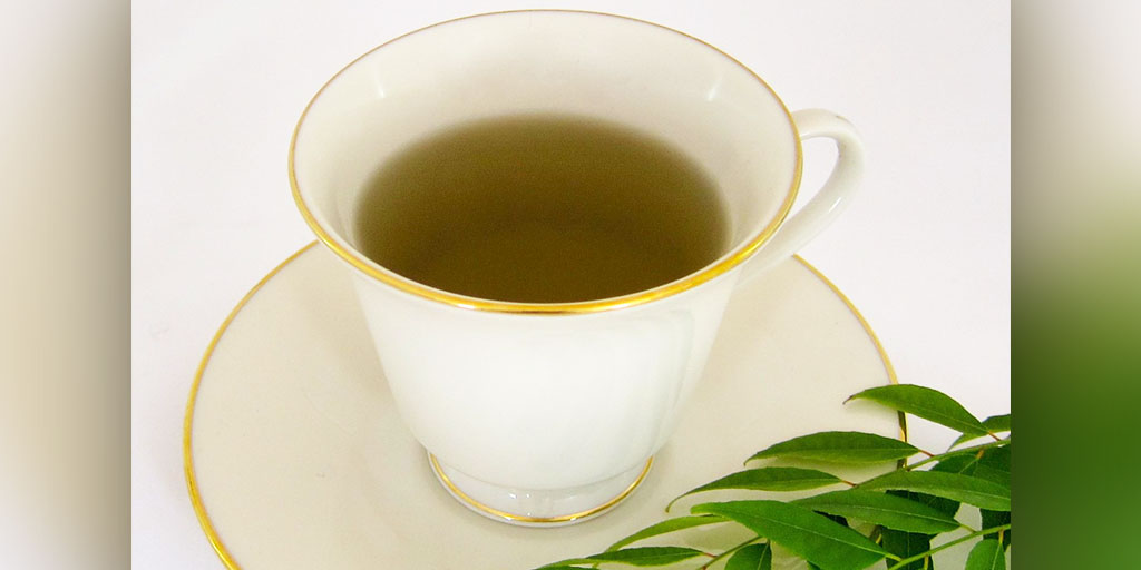 Drink Curry Leaves Tea Every Day Know Amazing Benefits For Fast Weight
