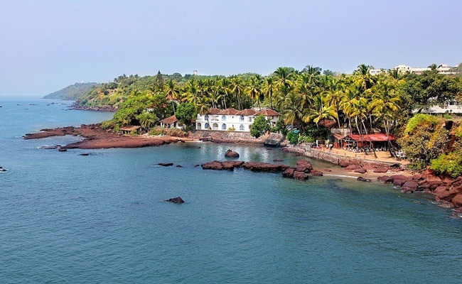 dona paula