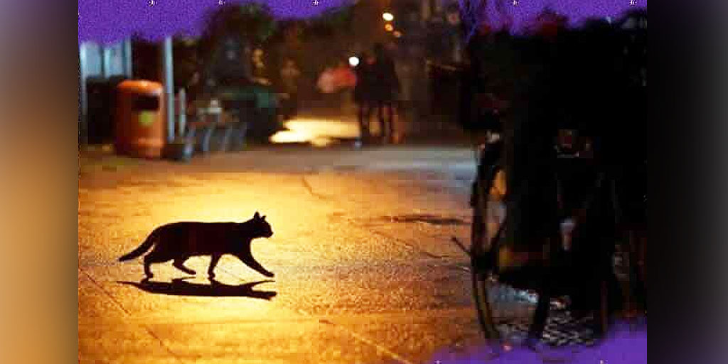 These 19 Indian Superstitions Have A Scientific Reasoning You Never  Realised! | HerZindagi