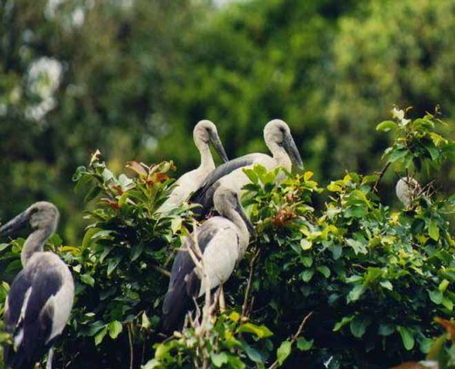 offbeat destinations of Panvel in Mumbai inside 