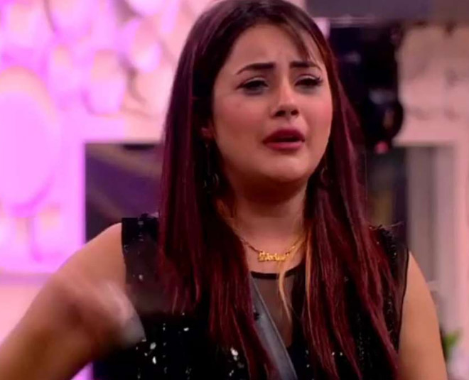 5 Reasons Why Shehnaz Gill Can Win Bigg Boss Season 13 Herzindagi 