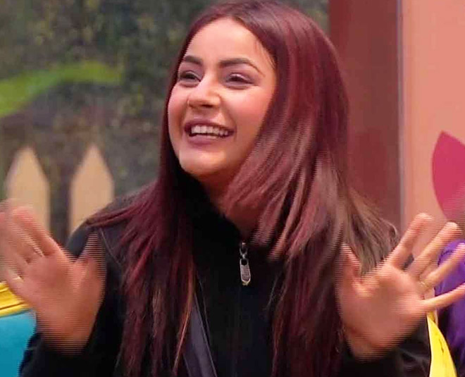 shehnaz kaur gill finalists