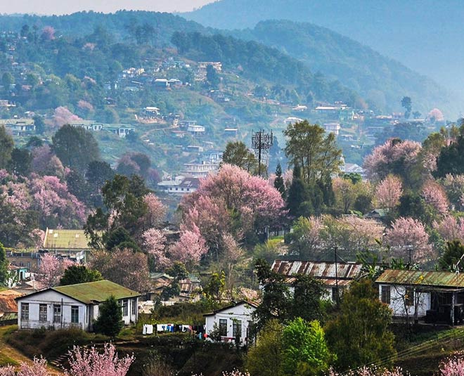 Weekend Getaways From Shillong: Amazing Destinations For Natural Beauty