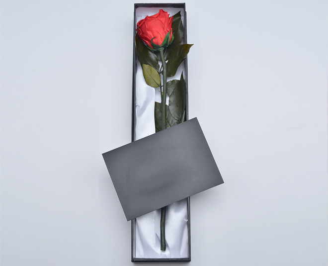 single rose box