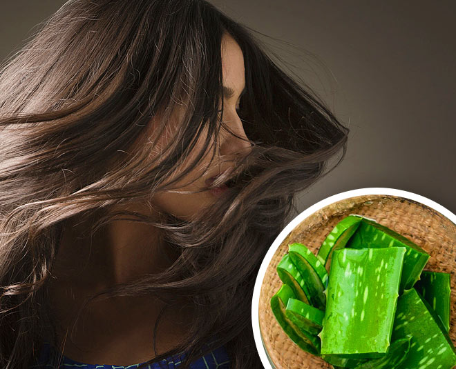 aloe vera for hair