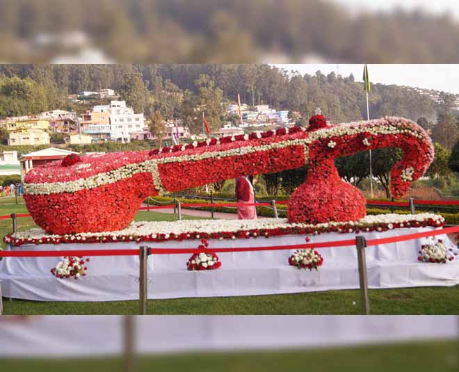 best places to  visit in ooty Ooty Rose Garden