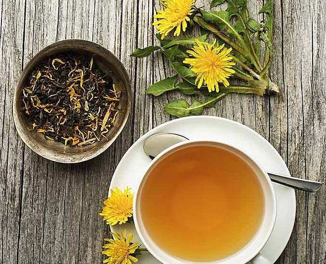 dandelion tea weight loss