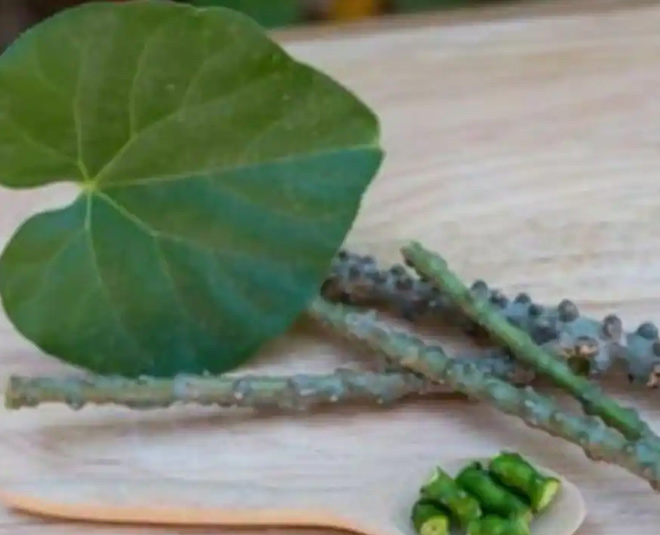 giloy for skin inside 