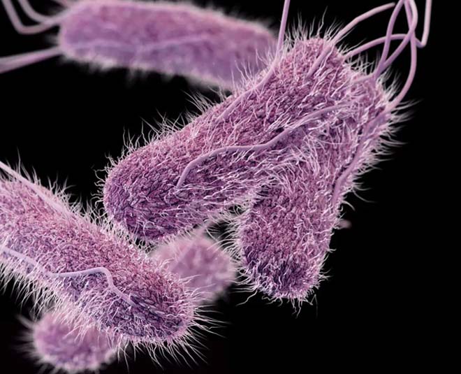 hair fall reasons inside