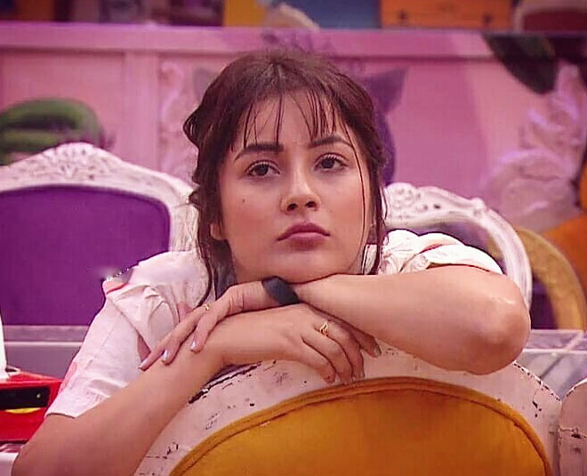 kashmera shah make fun of shehnaz gill