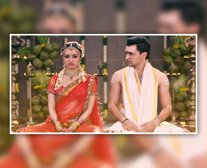 love in arranged marriage patience