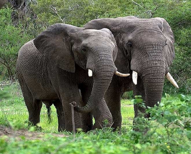 must visi  travel destinations in andhra pradesh inside