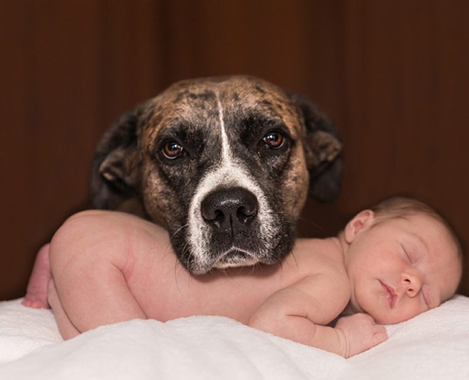 pets important for kids growth ()