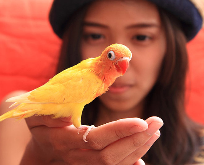 pets important for kids growth ()