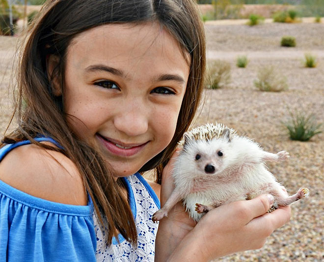 pets important for kids growth ()