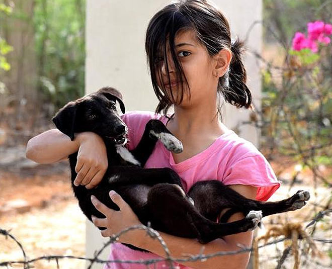 pets important for kids growth