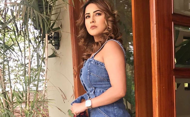 Bigg Boss 13 Contestant Shehnaaz Gill Lesser Known Facts In Hindi