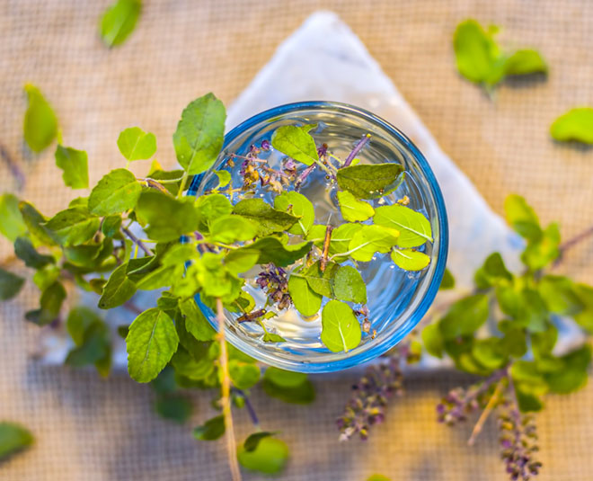 Tulsi water will increase beauty, know how to use it