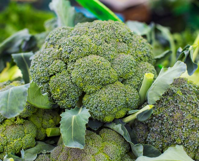  do you know that these meals do not need cooking inside 