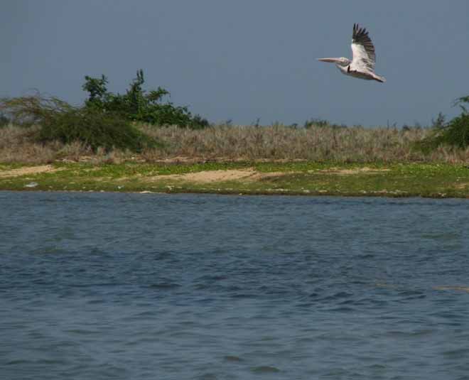 Indian lakes are found salt travel inside