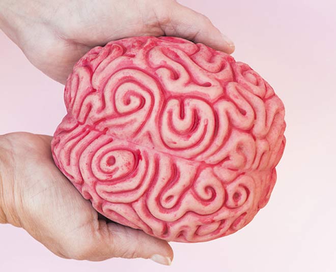 Lower Brain Performance