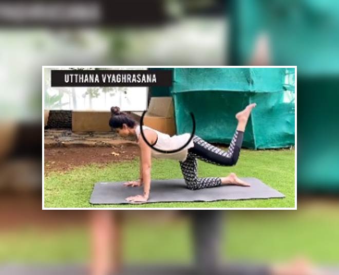 Utthana Vyaghrasana inside 