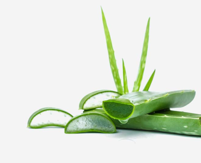 Hina Khan Uses Aloe Vera Cubes To Tighten Skin Pores, How To Make Them